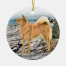 Suche nach finnisch ornamente Hund