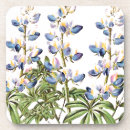 Suche nach lupine untersetzer Botanisch