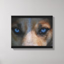 Suche nach wilder wolf leinwandbilder Hund