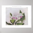 Suche nach regina poster Natur