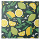 Suche nach zitrone limon fliesen Zitrusfrucht