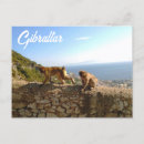 Recherche de le gibraltar cartes postales Espagnol