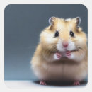 Suche nach niedlicher hamster Niedliche tiere