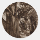 Suche nach eib Baum