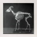 Recherche de squelettes puzzles Horreur