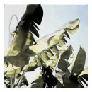 Recherche de couler posters Nature