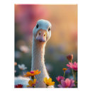 Recherche de oie posters Animaux