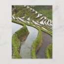 Suche nach yunnan postkarten Landschaft
