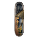 Recherche de urban skateboards Fun