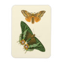 Recherche de peinture papillon magnets Nature