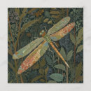 Recherche de libellule invitations Botanique