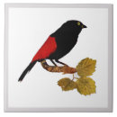 Recherche de oiseau rouge carreaux Animal