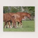 Suche nach kastanien puzzle Bob sprache