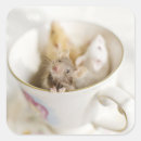 Suche nach farbbild aufkleber Kanada