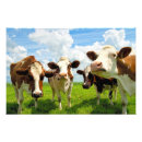 Recherche de farm animals art Nature