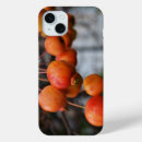 Suche nach roter apfel iphone hüllen Äpfel