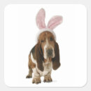 Recherche de oreilles cadeau emballages Dog