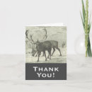 Suche nach reindeer karten Natur