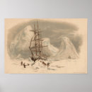 Recherche de arctique art Impression d'art