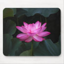 Suche nach lotos mousepads Wasserlilie