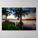 Suche nach gulf coast poster Landscape