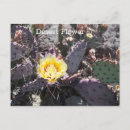 Suche nach cactus postkarten Fotografie