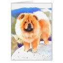 Recherche de papier bouffe Chien