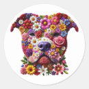 Recherche de amants de fleur Botanique