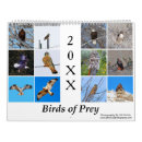 Recherche de aigle photographie Oiseaux de proie