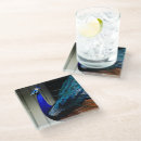 Recherche de peacock dessous de verres Bleu