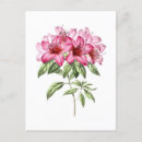 Recherche de azalée cartes postales Floral