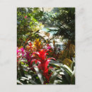 Suche nach carribean poster Tropisch