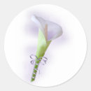 Suche nach lila lilie aufkleber Blume