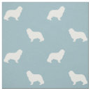 Suche nach charle spaniel Cavalier king charles spaniel
