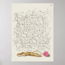 Recherche de insectes vintages posters Botanique