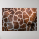 Recherche de girafe vintage posters Safari