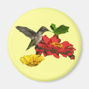 Suche nach kolibri magnete Hummer