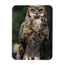 Recherche de griffe magnets Faune