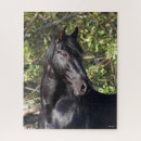 Suche nach black horse puzzle Schwarz