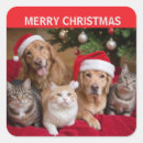 Recherche de noël chat autocollants Arbre
