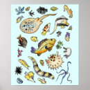 Recherche de poissons exotiques posters Océan