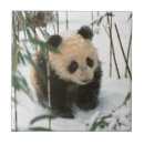 Suche nach schnee fliesen Fauna