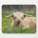 Recherche de veau vache tapis souris Ranch