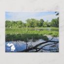 Recherche de swan cartes postales Faune