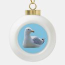 Suche nach mowes ornamente Möwe