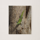 Suche nach gecko puzzle Natur