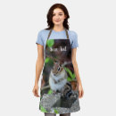 Recherche de faune tabliers Nature
