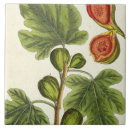 Suche nach pre 19th fliesen Fl 1757 82