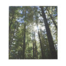 Suche nach wald notizblock Naturfotografie