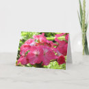 Suche nach hübsche rosa blumen karten Foto